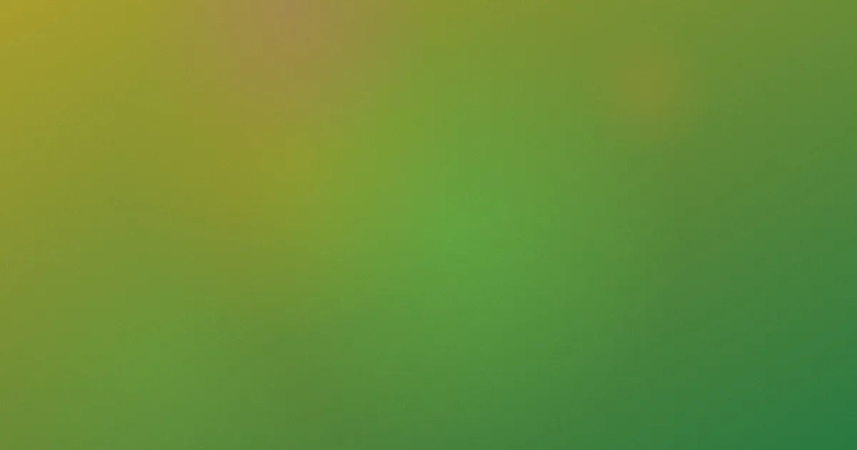 污片在线观看测评：避坑问答